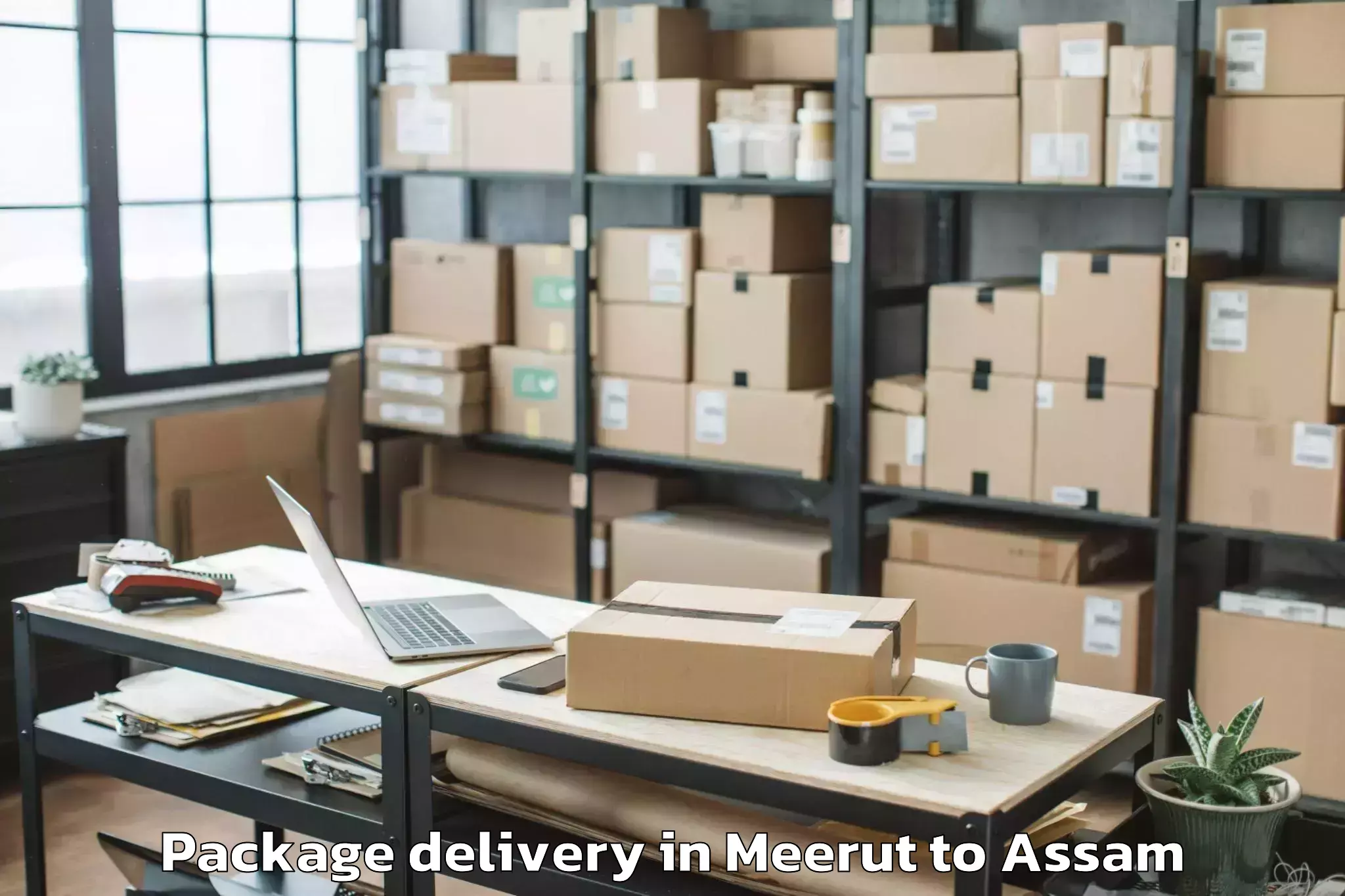 Quality Meerut to Gossaigaon Package Delivery